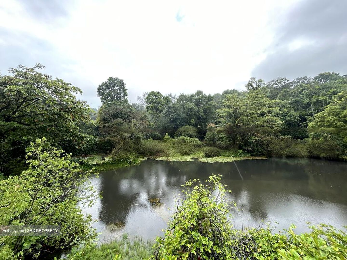 Normanton Park (D5), Apartment #603459251